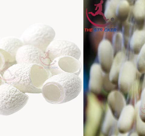 Interesting Facts of Silk Fibre