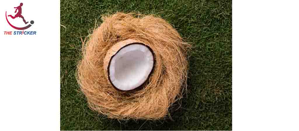 Properties & Uses of Coir Fiber With Types & Manufacturing Process