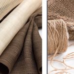 Bombax Cotton Fiber | Properties and Uses