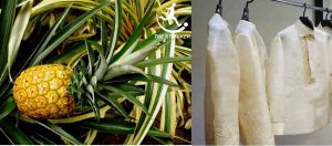 Pineapple Fiber | Properties and Uses of Pineapple Fiber | Bast Fiber| The Stricker