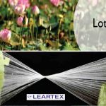 Lotus-Silk-Fiber