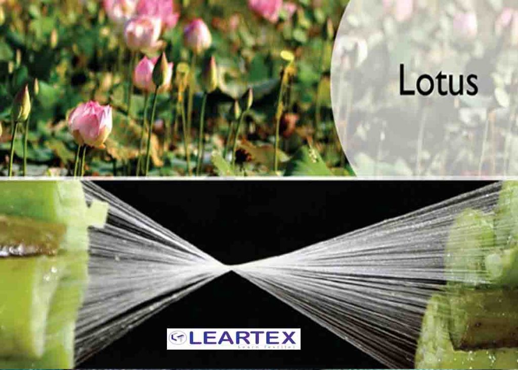 Lotus-Silk-Fiber