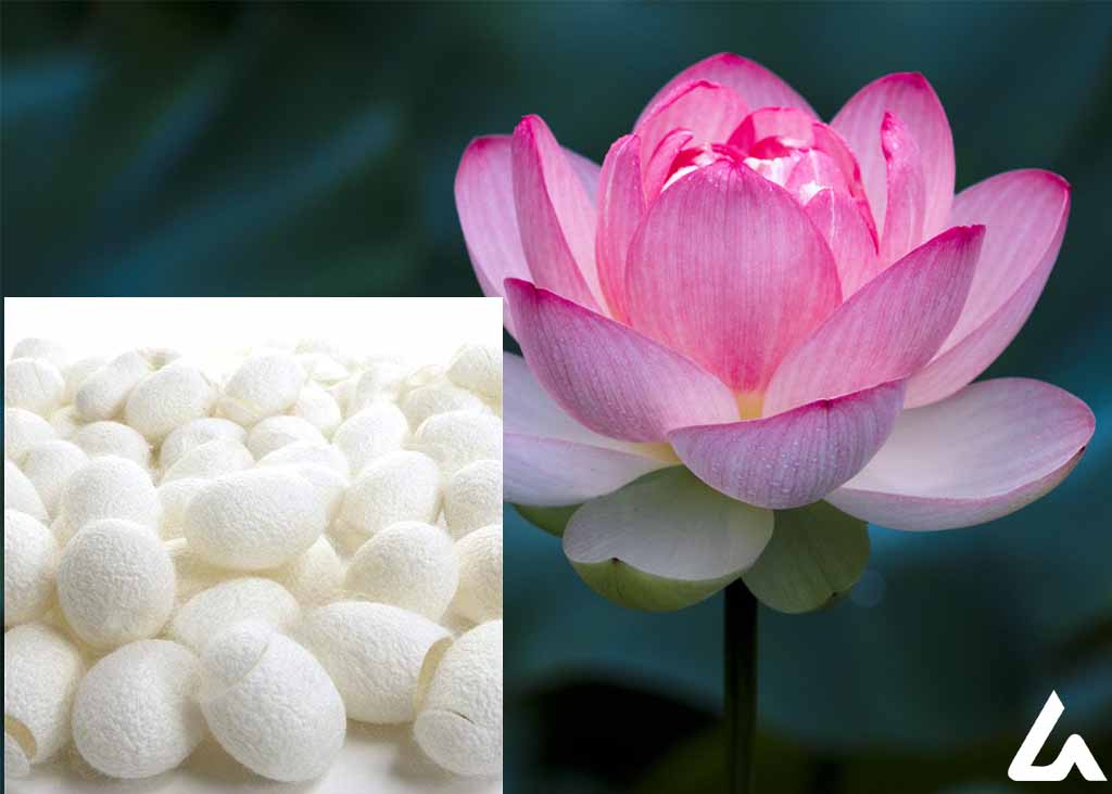 Silk Fiber vs Lotus Silk Fiber | Leartex- Learn Textile |