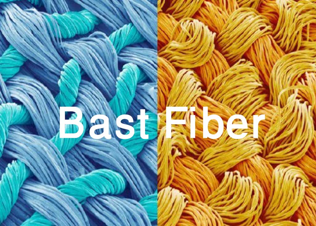 Bast FIBER