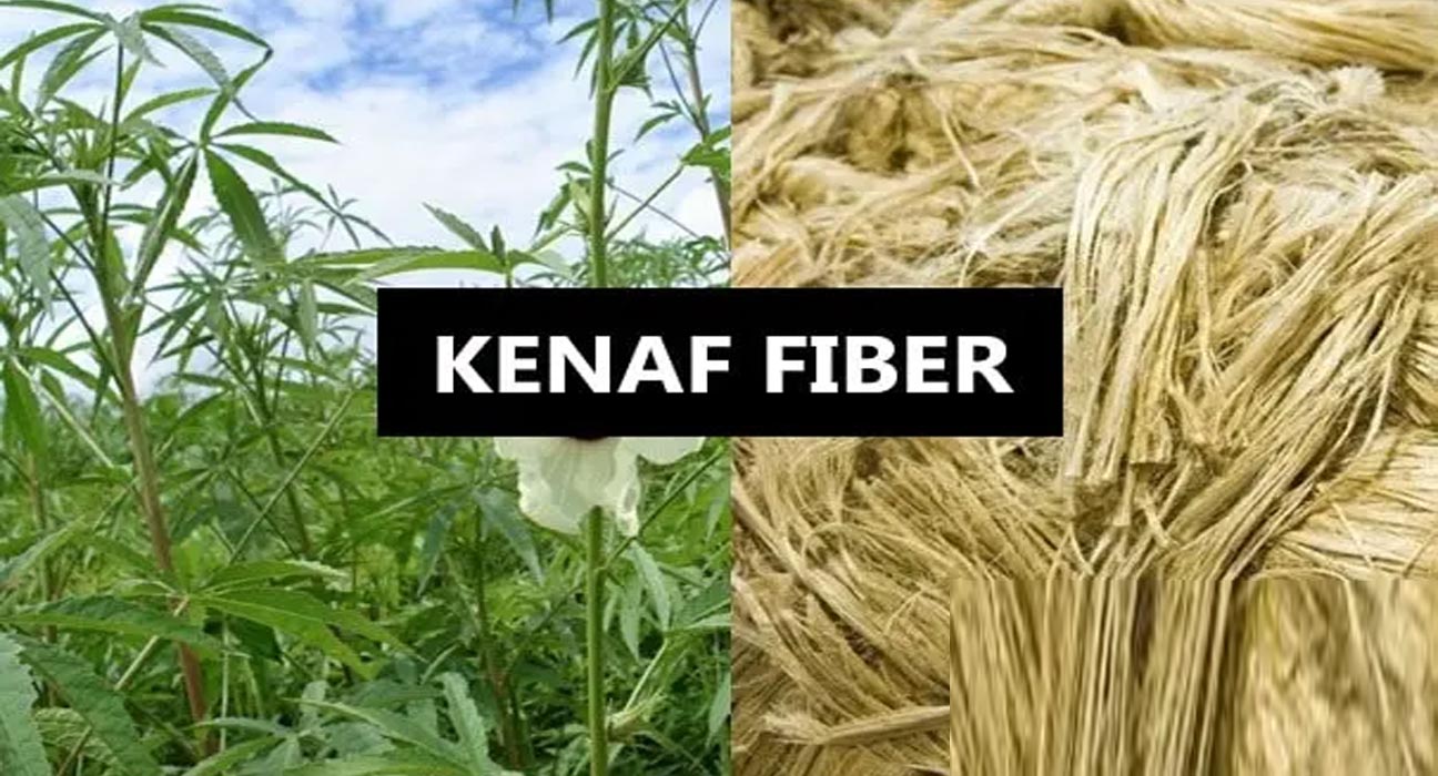 Kenaf Fiber Fabrics