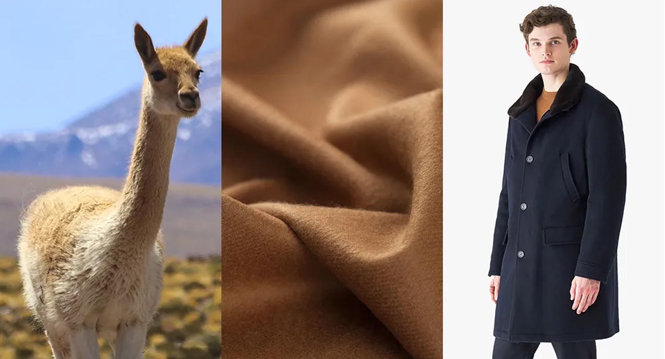 Vicuna Fabric the Golden Fleece