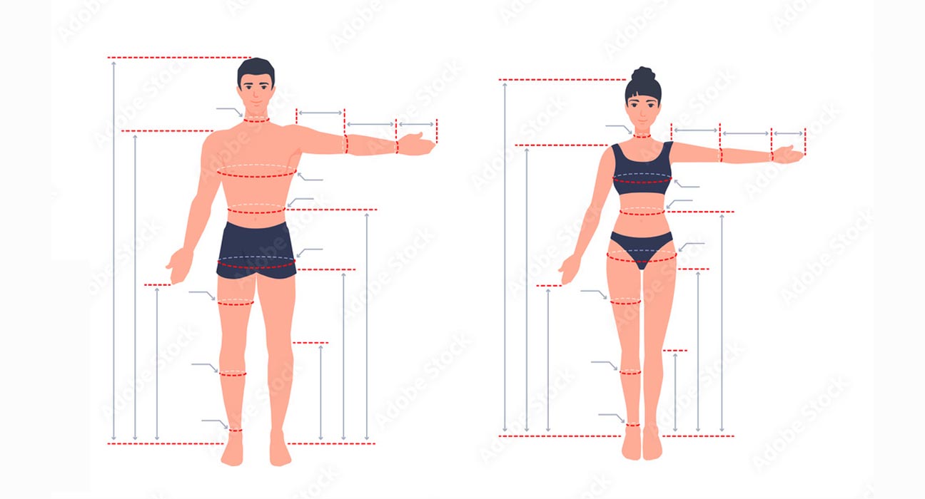 Basic Human Body Measurements