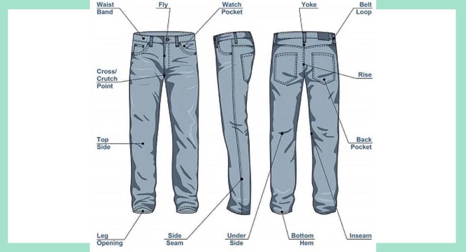 Parts of a Pant | Basic Pant Components Identification