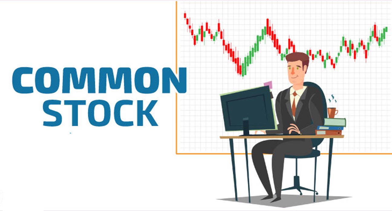 What is Common Stock?