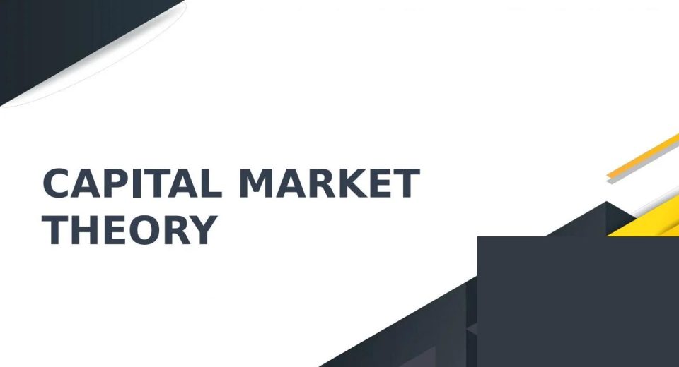 What is Capital Market Theory? Types and Importance of Capital Market Theory